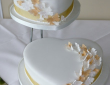 butterflies-gold-cream