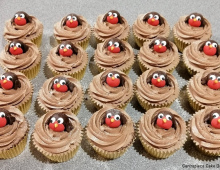 Individual-cupcakes-robins
