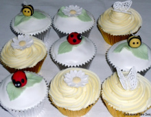 cupcakes-nature