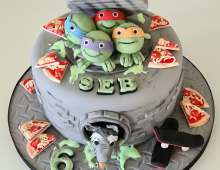 Childs-ninja-turtle-birthday