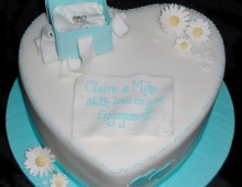 engagement-claire-mike