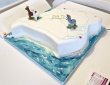Adult-birthday-larmas-donkey