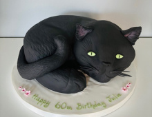 Black-cat