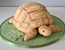 Novelty-tortoise-cake