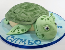 Novelty-turtle-birthday-1