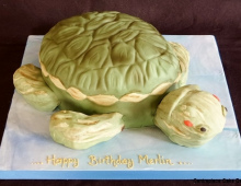 Turtle-novelty