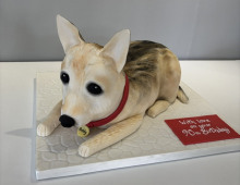 novelty-chihuahua-dog
