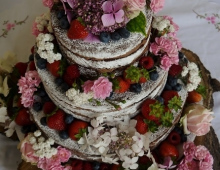 strawberries-&- choc-naked-top