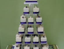 Individual-square-cakes